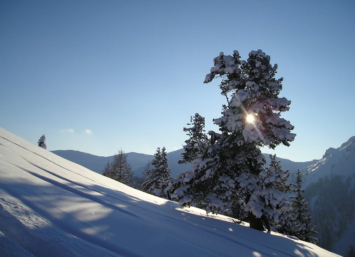 Bezaubernde Winterlandschaft